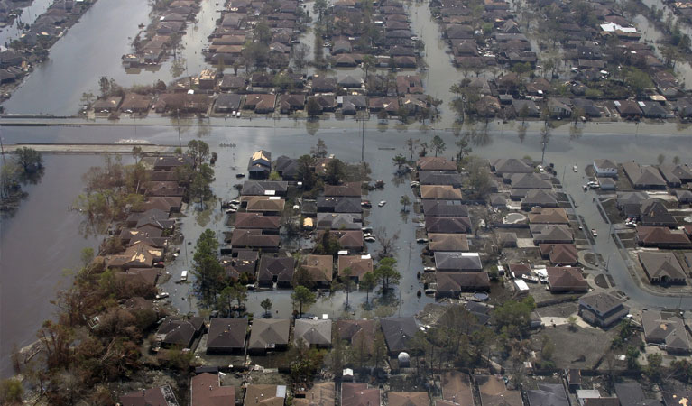 Memphis Post Disaster Survey